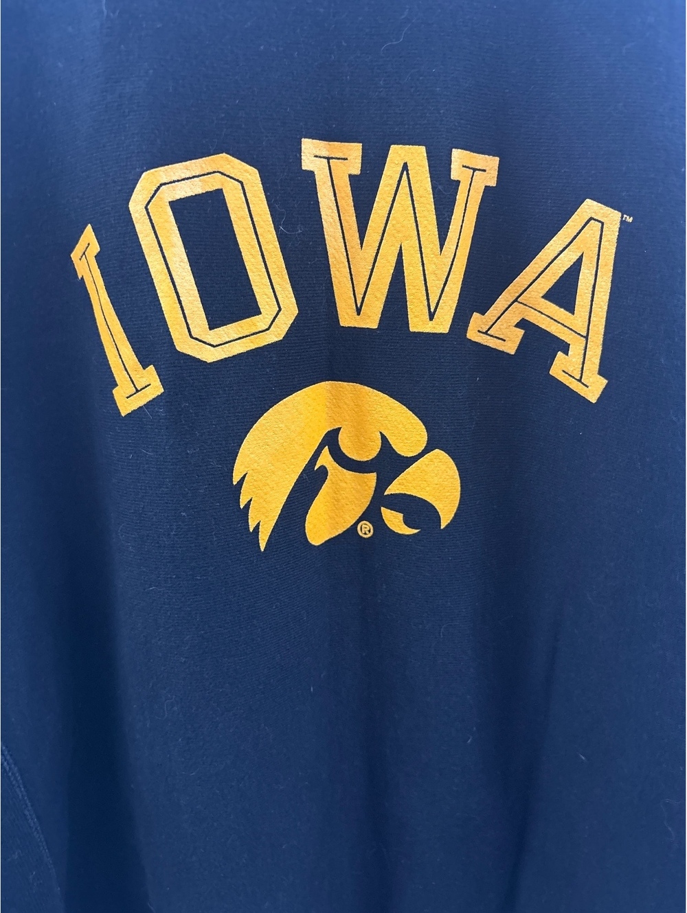 Champion Reverse Weave Iowa Hawkeyes Black Crewneck Sweatshirt Large - Picture 2 of 6